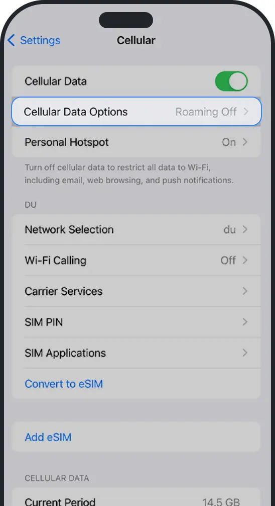 How to enable data roaming on iPhone 3