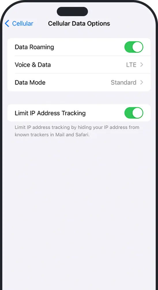 How to enable data roaming on iPhone 3