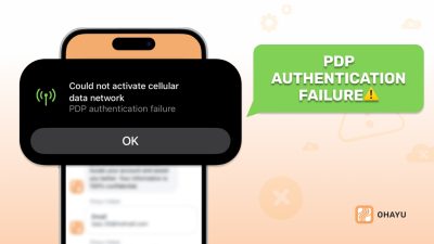 PDP Authentication Failure issue screenshot