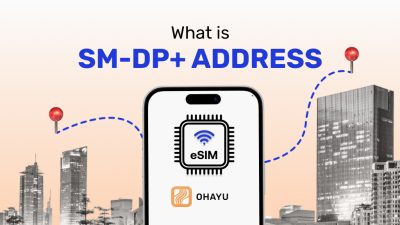 What is SM-DP+ Address