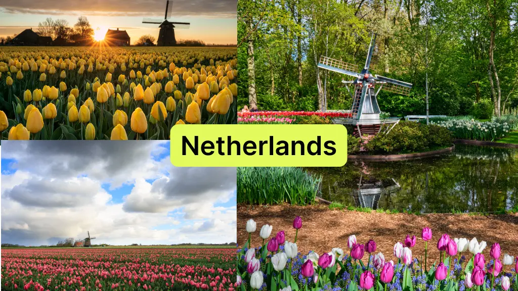 Netherlands in May