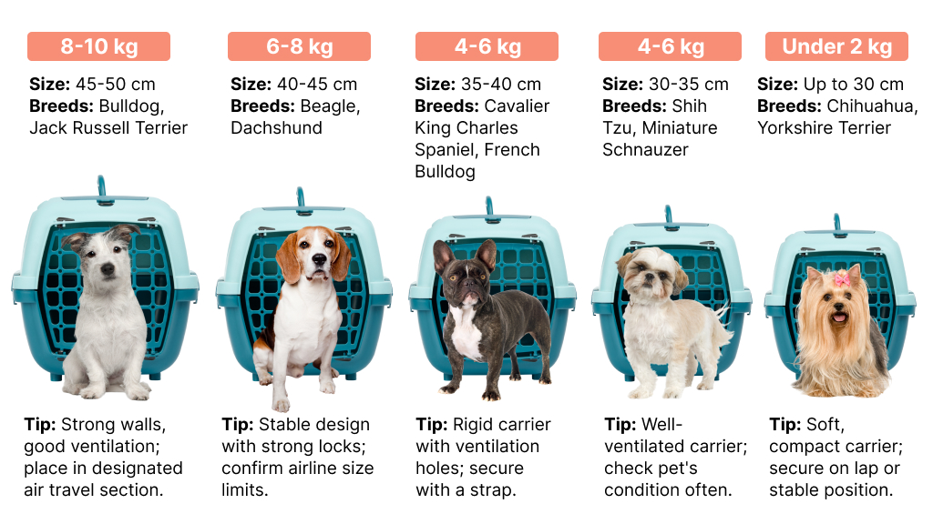 pet carriers for smaller dogs 2-10 kg - infographics
