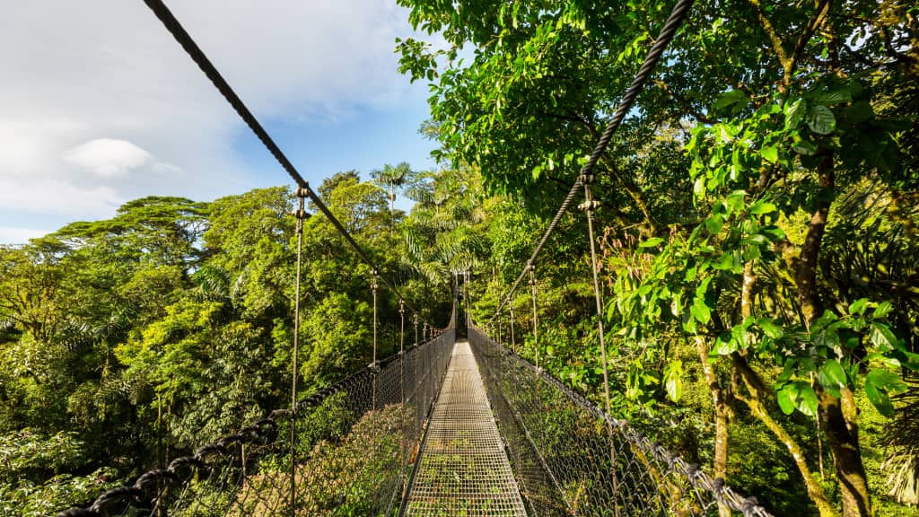 Cloud Forests in Costa Rica