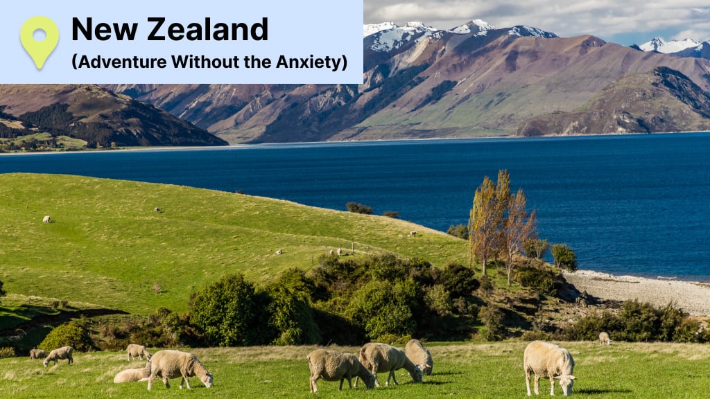 traveling to New Zealand as a female