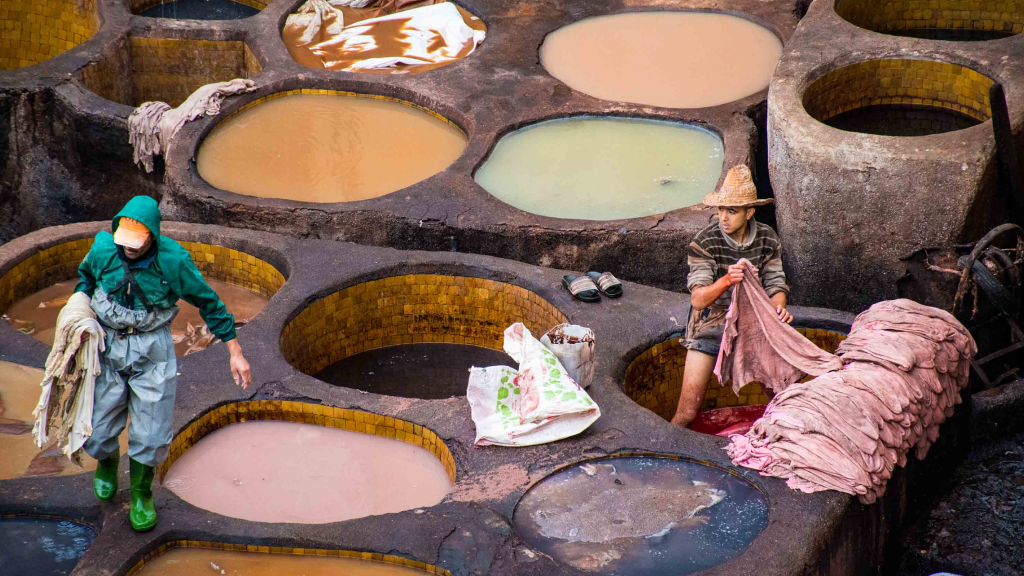 Chouara Tannery