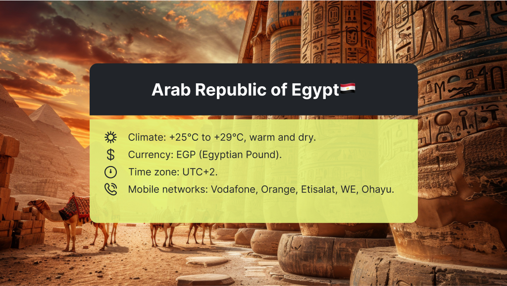 weather and climate in Egypt in November
