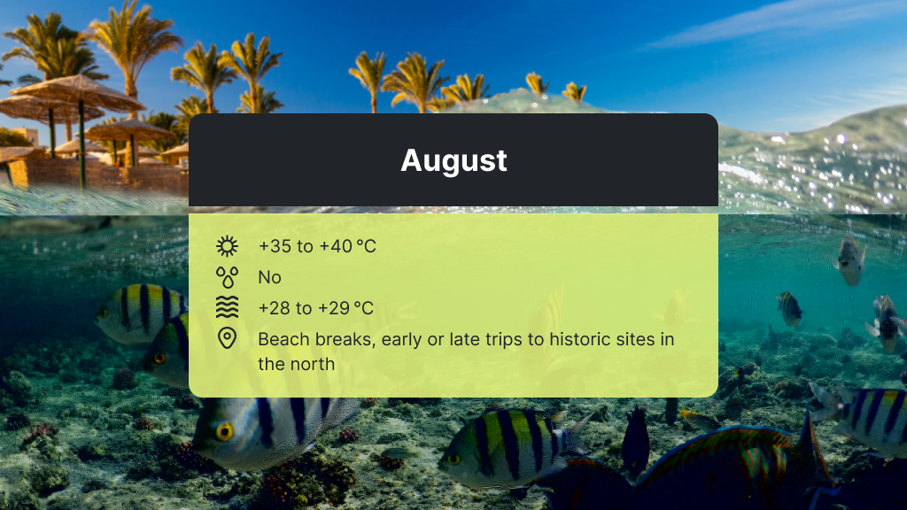 August temperature in Egypt - low season