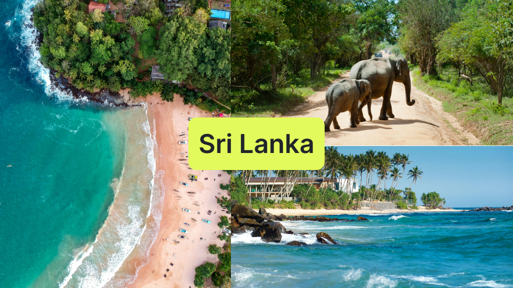 sri lanka travel in january