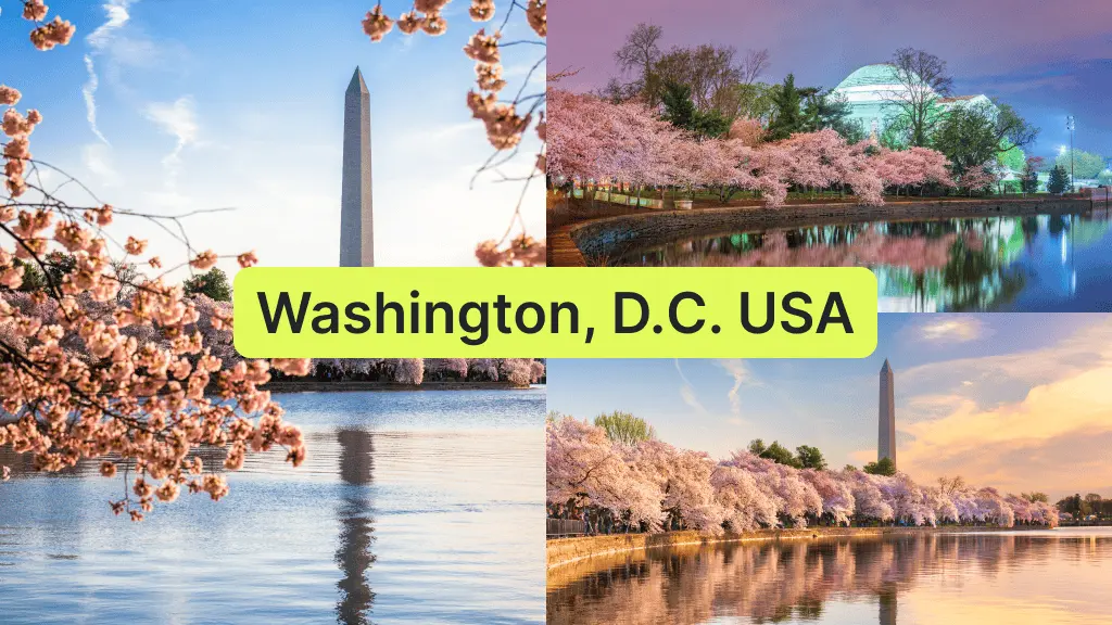 Cherry Blossom Season in Washington, D.C. USA - best places to travel in march