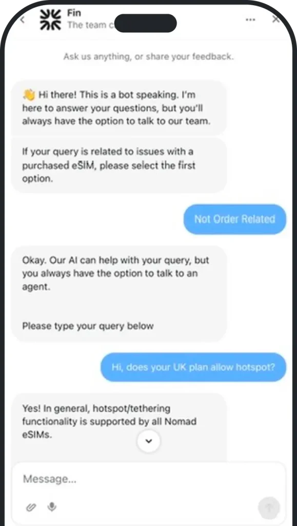 Nomad-eSIm-chat